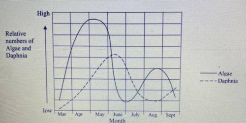 B) Explain why the algae reach a peak in this month. Refer to the graph.

c) Describe the pattern