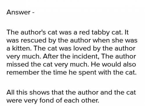 How was the authors affection towards his pet cat?​