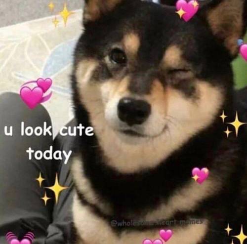 Free Points <3

-delilah 
P.S Here Is Doggo To Help U With Ur Morning/Afternoon/Night :3