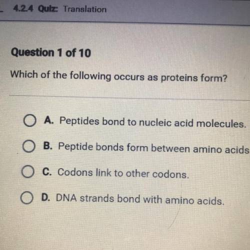 Which of the following occurs as proteins form?