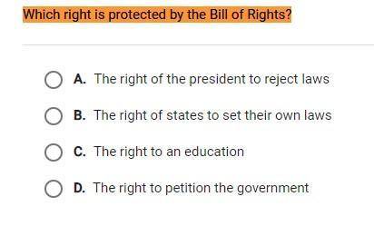 Which right is protected by the Bill of Rights?