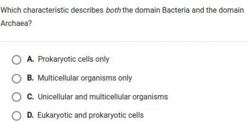 Which characteristic describes both the domains Bacteria and the domain Archaea