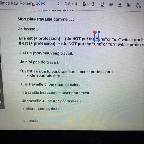 French 1 professions.