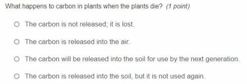 What happens to carbon in plants when the plants die?

1. The carbon is not released; it is lost.