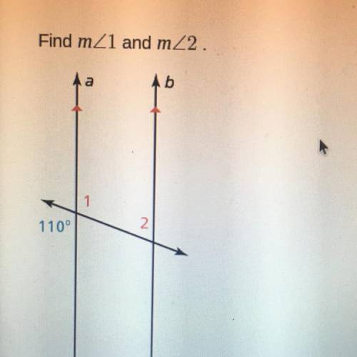 Need help! Need to find both 1 and 2!
