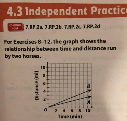 Write an equation for the relationship between time and distance for each horse.
