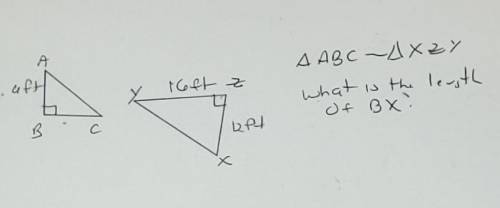 ∆ ABC - ∆XZY what is the length of bx