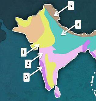 Analyze the map below and answer the question that follows.

A color-coded thematic map of India.