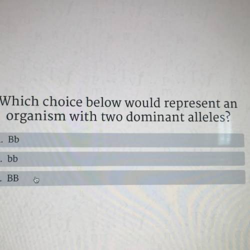 Which choice below would represent an

organism with two dominant alleles?
A. Bb
B. bb
C. BB
