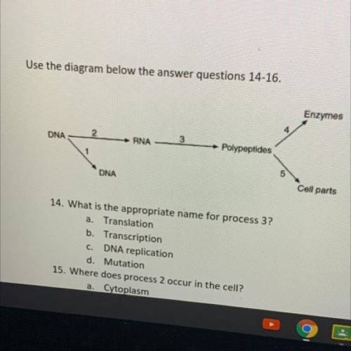 Use the diagram below the answer questions 14-16.

14. What is the appropriate name for process 3?