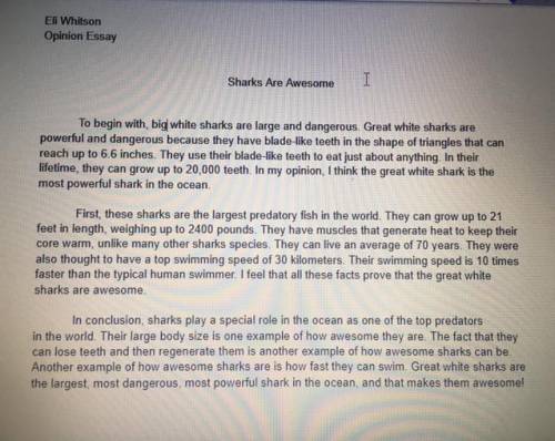 OPINION ESSAY ABOUT SHARKS Can anyone please revise and proofread this opinion essay about gre