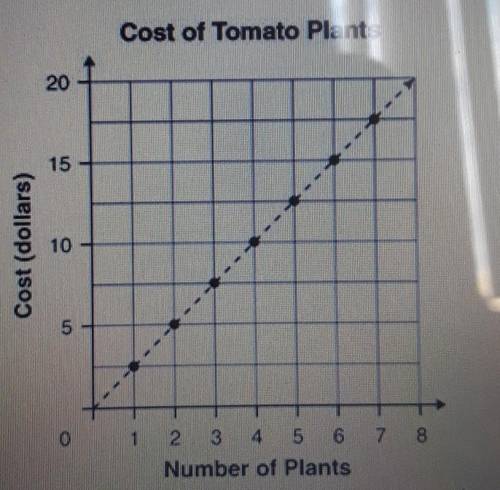 the graph below shows the cost of tomato plants for each plant purchased. What is the cost of one t