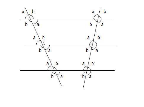 Notice that two line segments are formed on each transversal between the central parallel line and