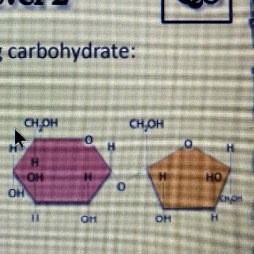 Identify the following carbohydrate

A. Monosaccharide
B. Disaccharide
C. Polysaccharide
D. None o