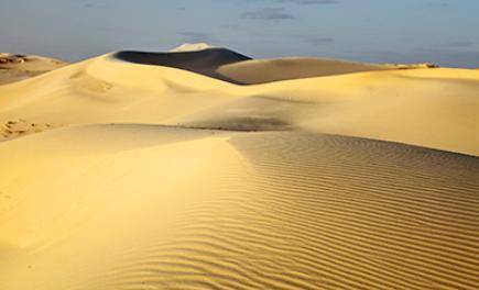 These are the Monahans Sandhills in west Texas. Which process is most likely directly responsible f