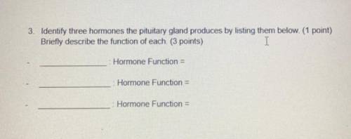 plz help this question is 100 points :) Identify three hormones the pituitary gland produces by lis