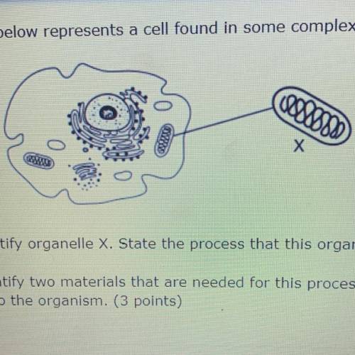 Part A: identify organelle X. State the process that this organelle preforms.

part B: identify tw