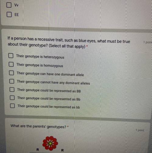 What are the answers here? Select all that apply.