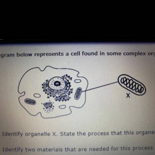 13. The diagram below represents a cell found in some complex organisms. The enlarged section repre