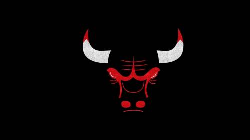 Anyone a bull's fan out there