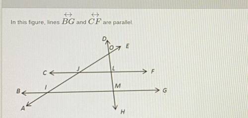 Question : If lines BG and CF are parallel, then OLF = OMG. Is this statement correct? Explain your