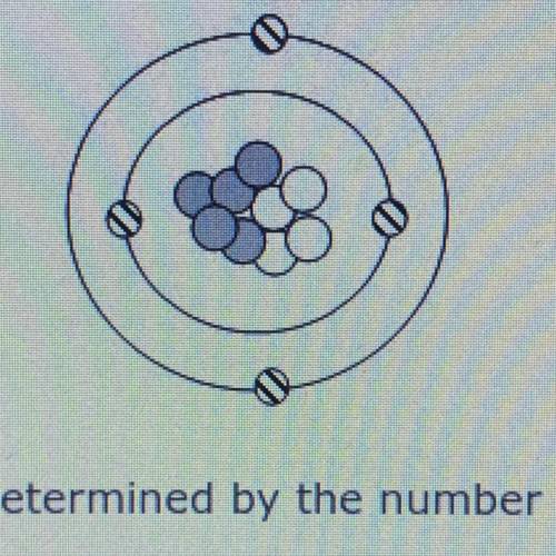 The identity of the element shown in the model above is determined by the number of -
