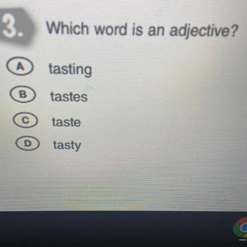 Which word is an adjective?
tasting
tastes
taste
tasty
