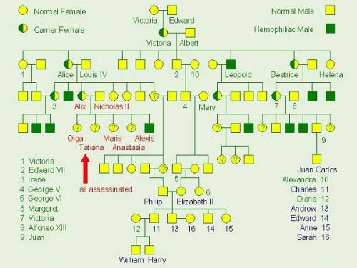 Reference the Queen Victoria's Pedigree link to answer these questions.

2. Use the family tree of
