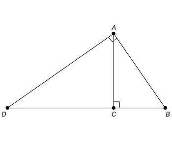 In △ABD, altitude AC¯¯¯¯¯ intersects the right angle of  triangle ABD  at vertex A. BC=4.2 in. an