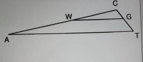 8. Find the length of TG in the diagram below given that WG || AT, TG = x, GC = 2, CW = x + 5 and W