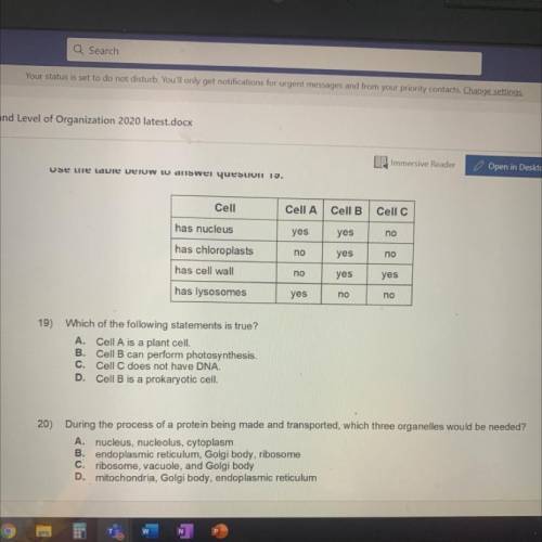 Plz help me with 19 and 20