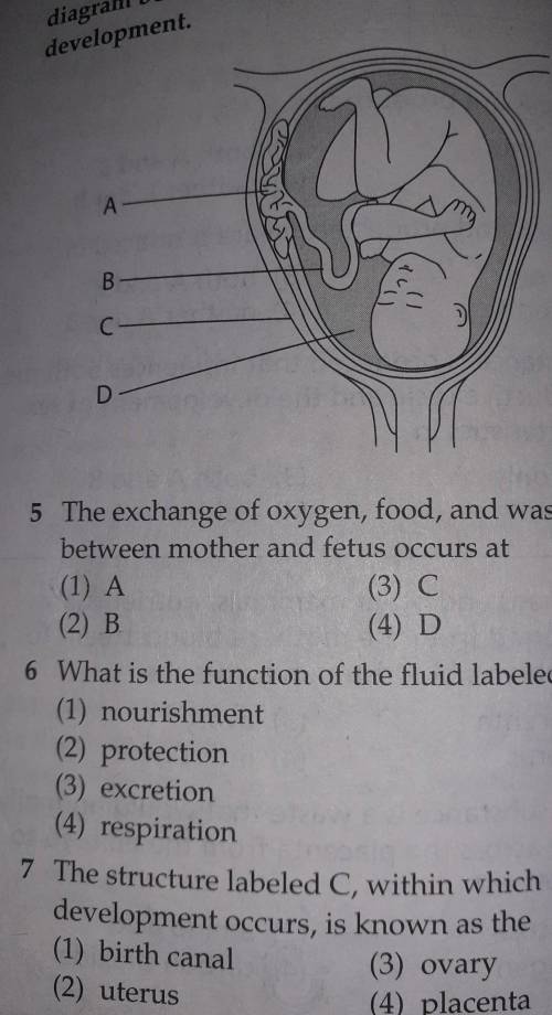 Please answer this biology question!