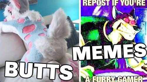 People asked me to do furry memes so here we go