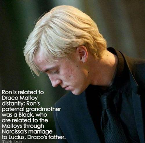 Bro what tha flip Draco Malfoy and Ron???