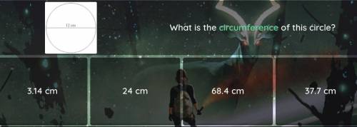 What is the circumference of this circle.