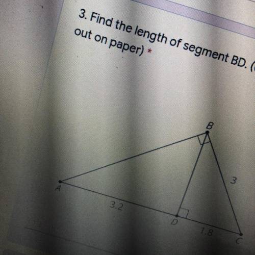 What is the length of segment BD