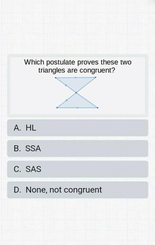 Identify the triangle