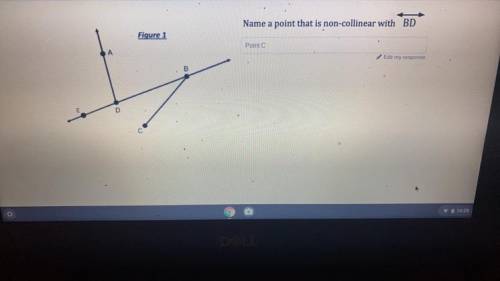 Name a point that is non collinear with line BD