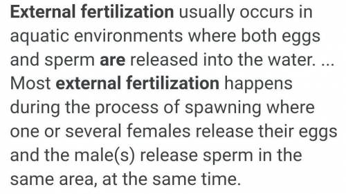 What do you mean by external fertilisation​