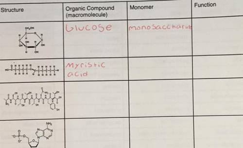 Identify each of the organic compounds based on their structure and also provide their monomers and