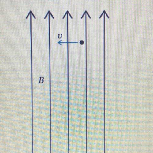 Using the Right-Hand Rule for Magnetic Forces

What is the direction of the force for a positive c