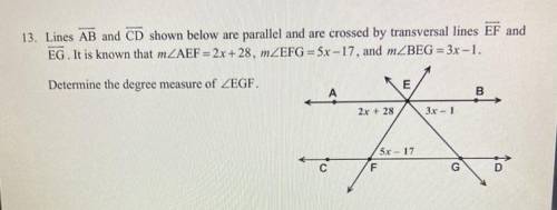 Can someone help? I need a answer by 12/7