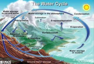 Review the water cycle diagram below. What effect would removing the precipitation stage have on th