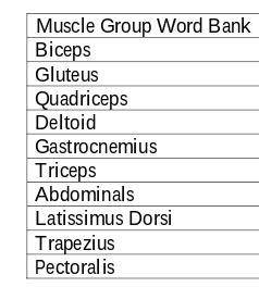 Can someone tell me which body part goes where based on this word bank?