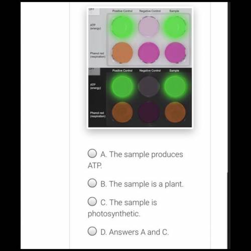What do the following results from the TEST FOR LIFE tab indicate about the sample?