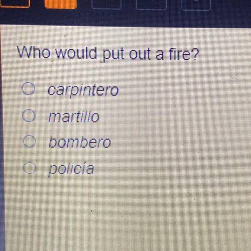 Who would put out a fire?
carpintero
martillo
O bombero
o policía