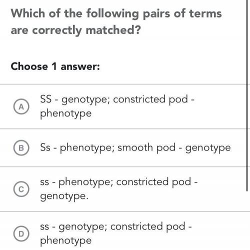 Which of the following pairs of terms are correctly matches