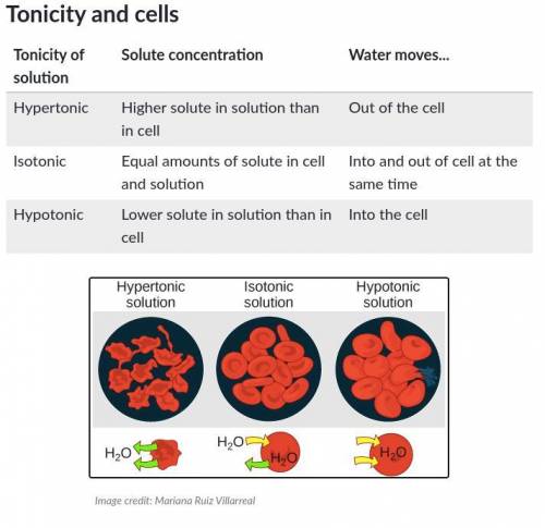 Salt particles move out of a cell and water moves into a cell placed in a(n)

solution.
a
osmotic
b