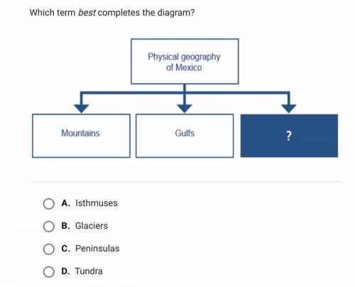 Which term best completes the diagram? (help)