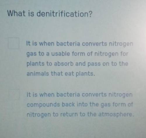 What is denitrification? Can someone help me, please? Thank youuuuu :)))))